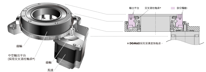 DGII Series
