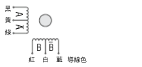 6條導線型